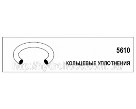 Кільцевий ущільнювач, 5610-05 - Фото №1